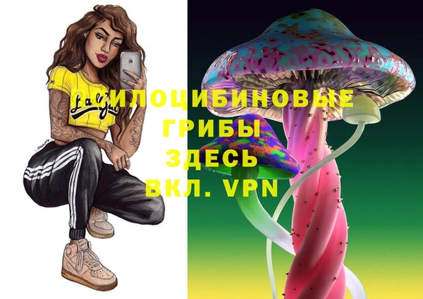 скорость Алексеевка