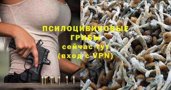 скорость Алексеевка
