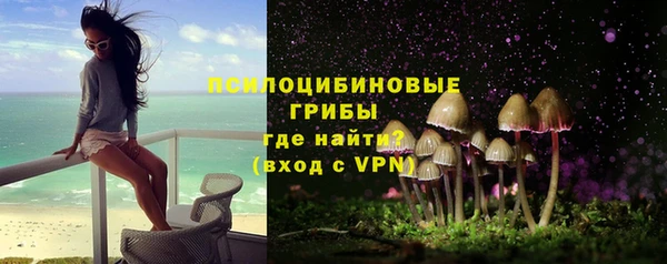 2c-b Алексин